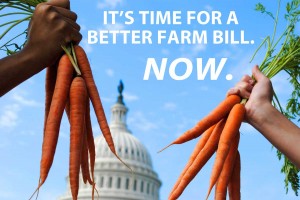 Farm-Bill-Petition-Opening-Graphic-Alert-Image-Web